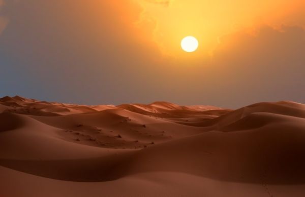 Sole alto sulle dune