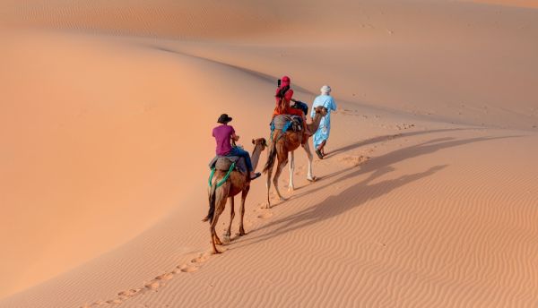 due cammelli tra le dune ripresi dall'alto